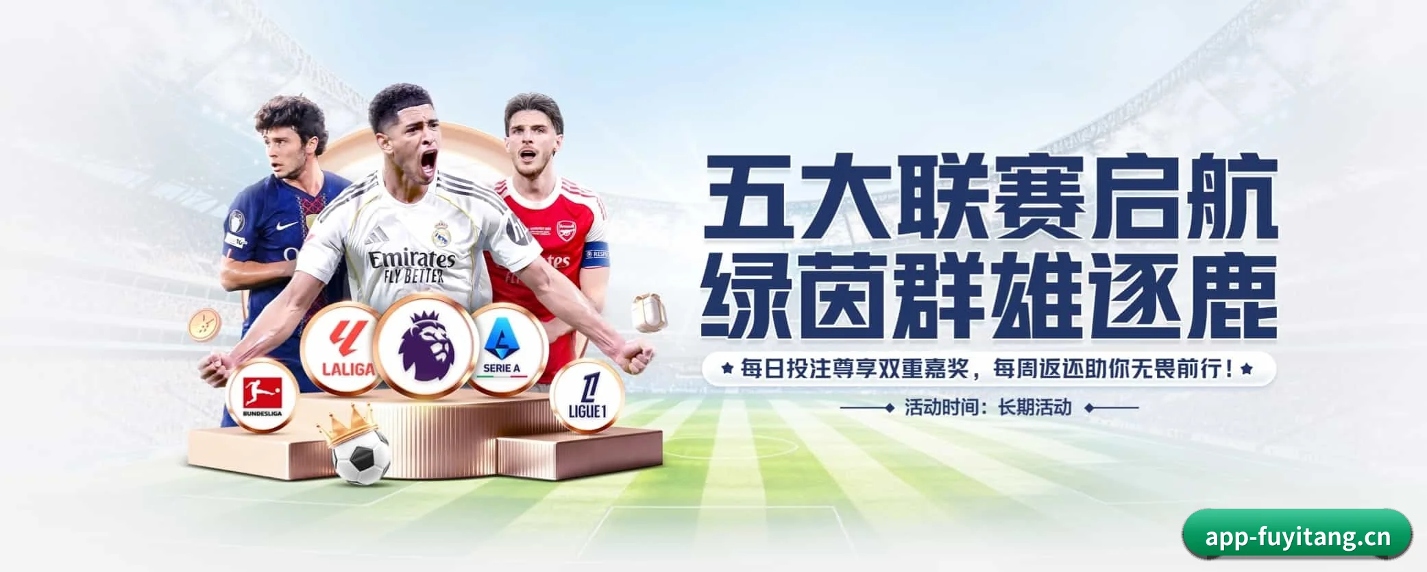 五大服务专区严密划分,信息结构一目了然